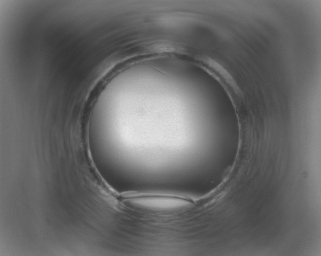 X0000083061023200702091458