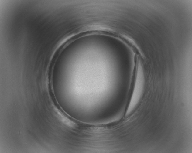 X0000083061024200702091458
