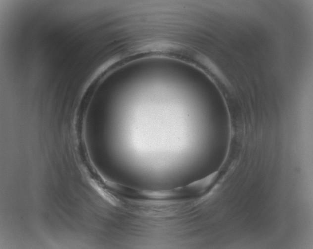 X0000083061026200702091458