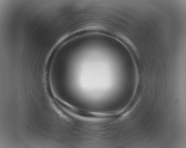 X0000083061029200702091459