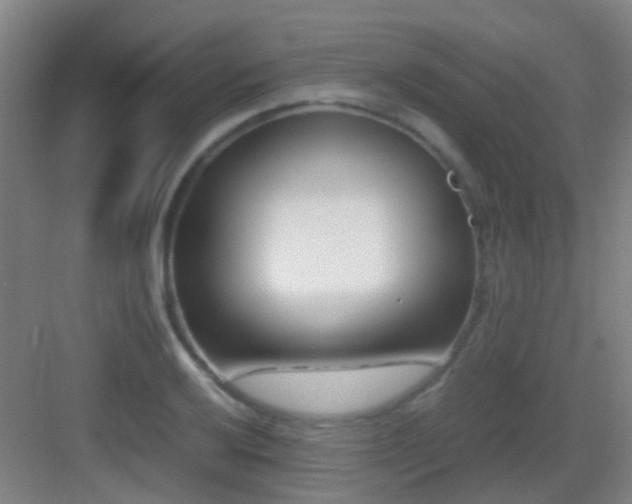 X0000083061032200702091459