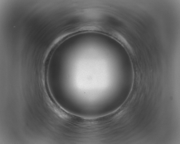 X0000083061035200702091459