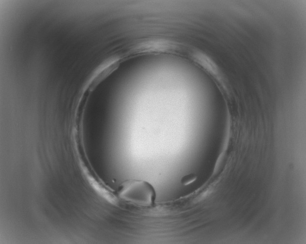 X0000083061042200702091459