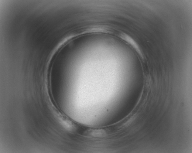 X0000083061043200702091459
