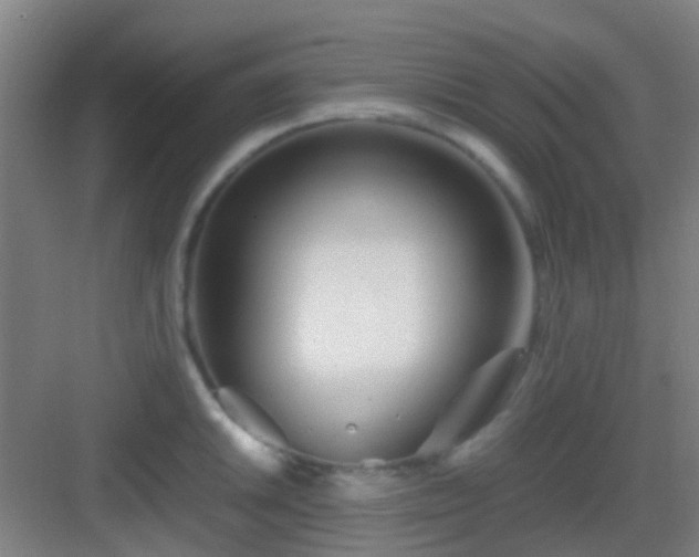 X0000083061046200702091459
