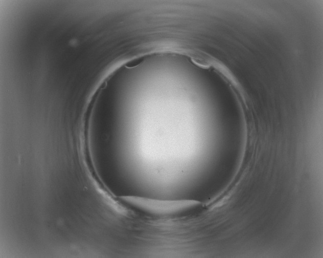 X0000083061048200702091459