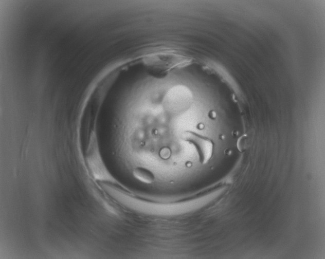 X0000083061051200702091459