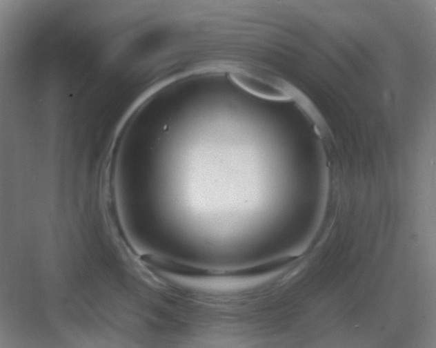 X0000083061052200702091459