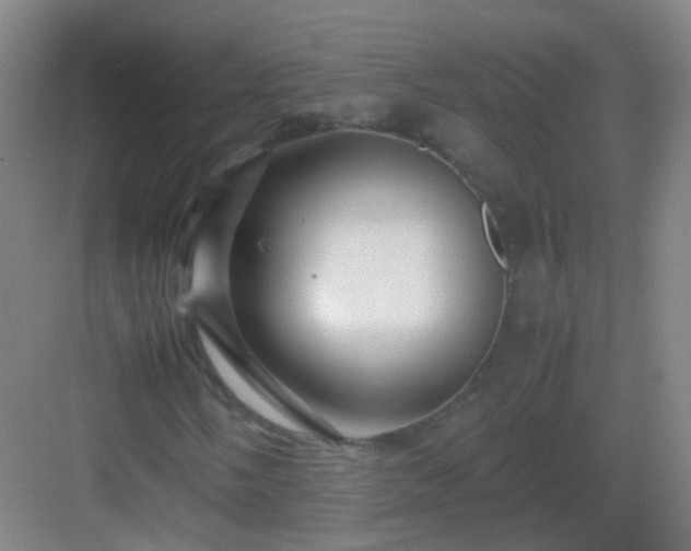 X0000083061058200702091458