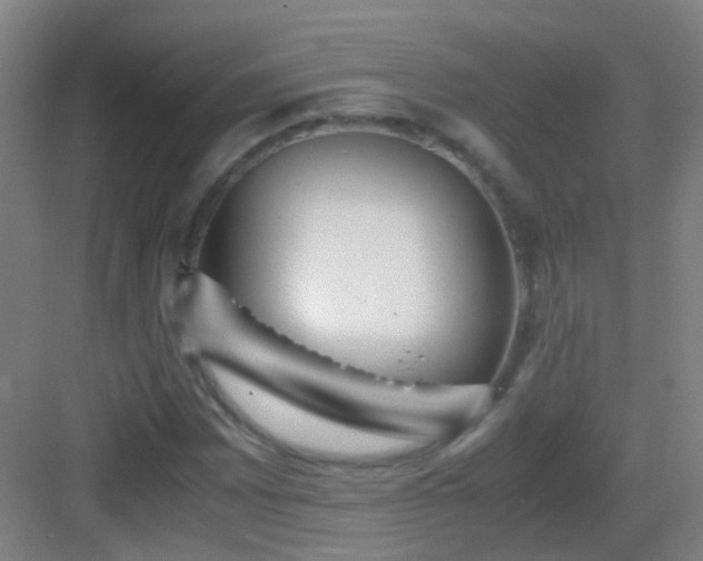 X0000083061065200702091458