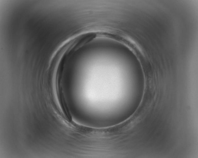 X0000083061069200702091458