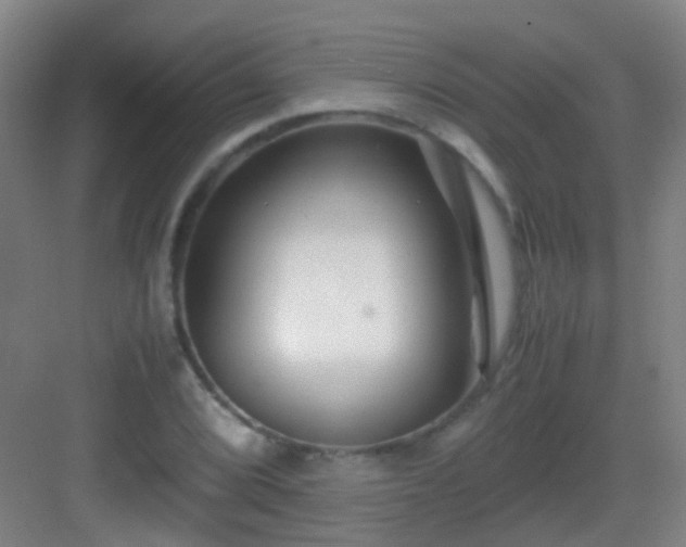 X0000083061072200702091458