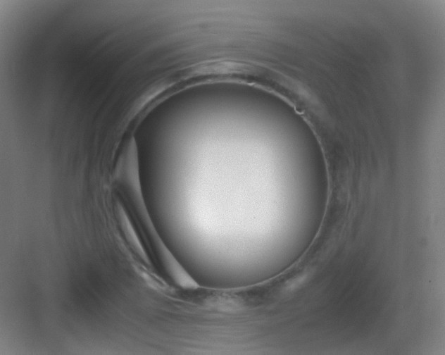 X0000083061073200702091458