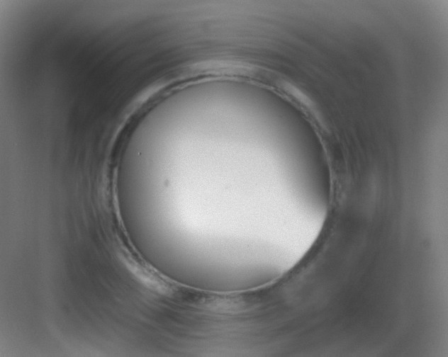 X0000083061074200702091458