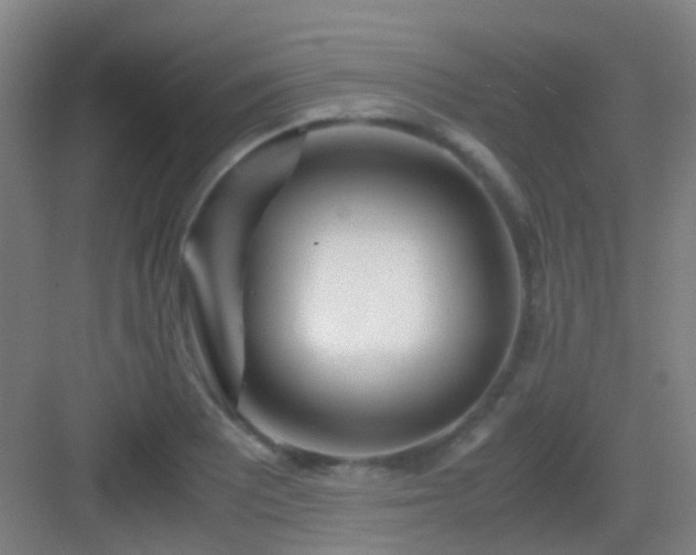 X0000083061081200702091458