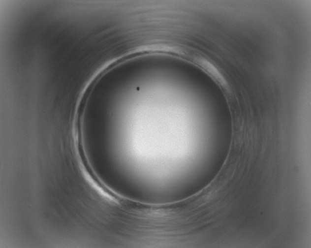 X0000083061084200702091458