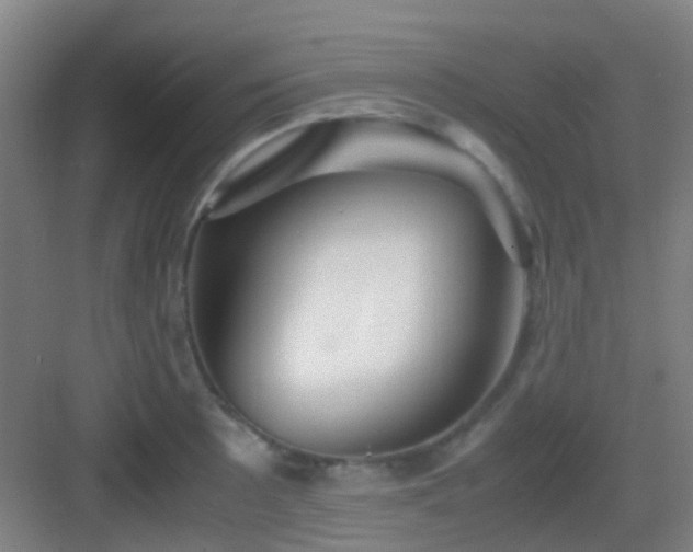 X0000083061089200702091458