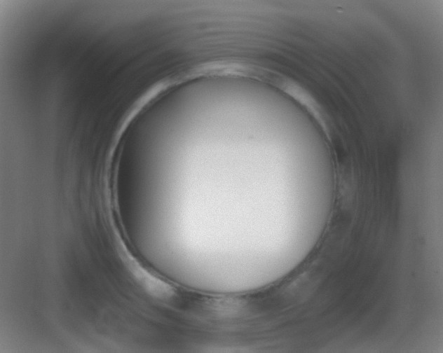 X0000083061090200702091458