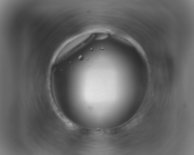 X0000083061104200702091457