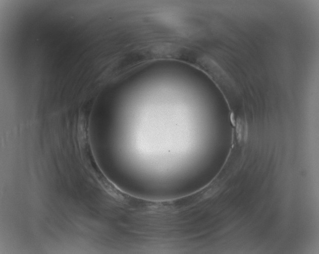 X0000083061107200702091457