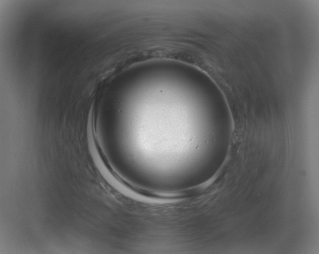 X0000083061109200702091457