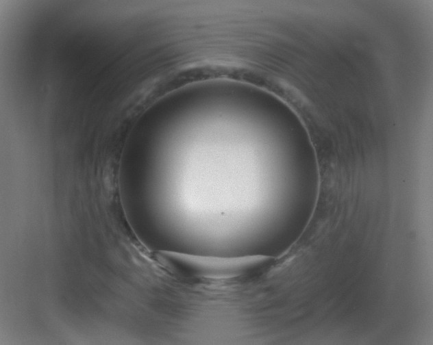 X0000083061110200702091457