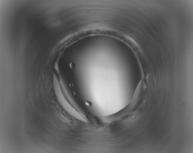 X0000083061112200702091457