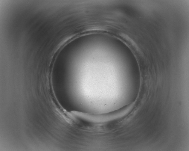 X0000083061121200702091457