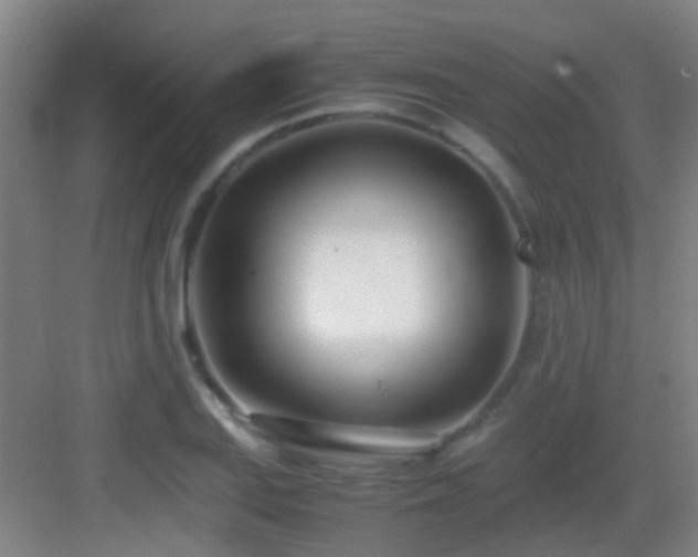 X0000083061127200702091457