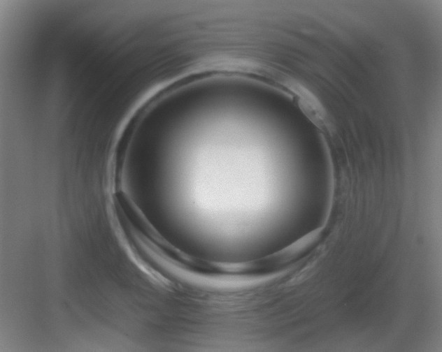 X0000083061128200702091457