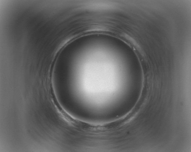 X0000083061129200702091457