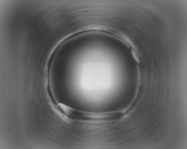 X0000083061132200702091457