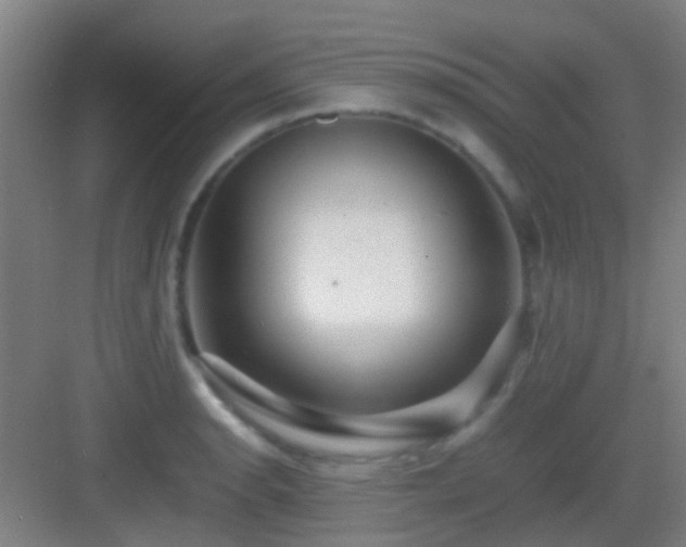 X0000083061134200702091457