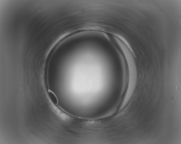 X0000083061139200702091457