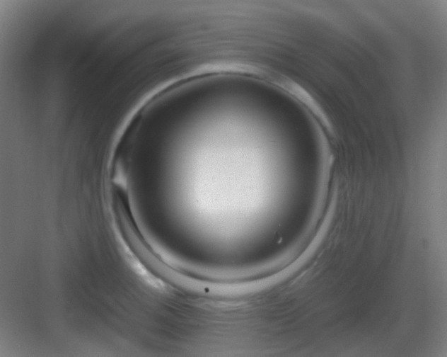 X0000083061140200702091457