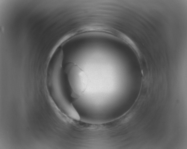 X0000083061146200702091457