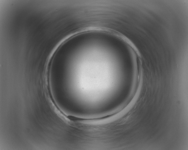 X0000083061148200702091457