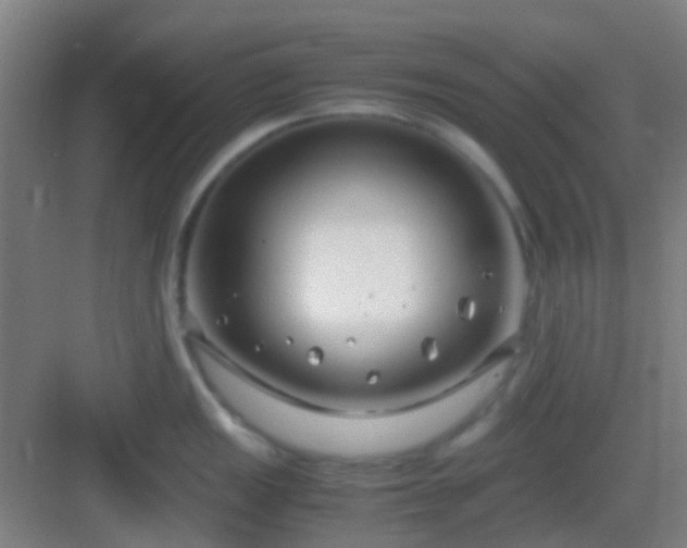 X0000083061149200702091457