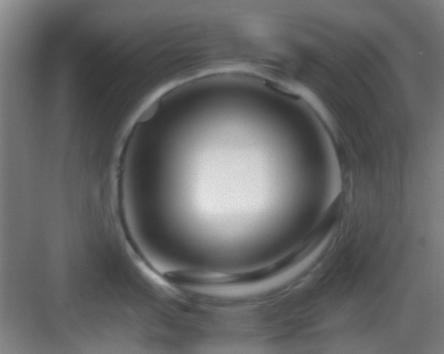 X0000083061151200702091457