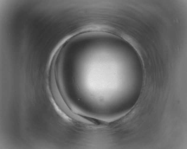 X0000083061152200702091457