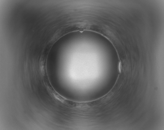 X0000083061154200702091457