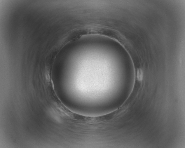 X0000083061155200702091456