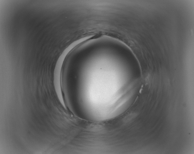 X0000083061156200702091456