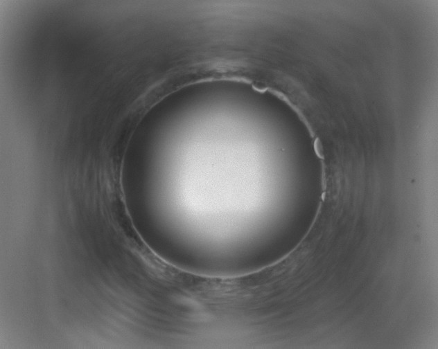 X0000083061158200702091456