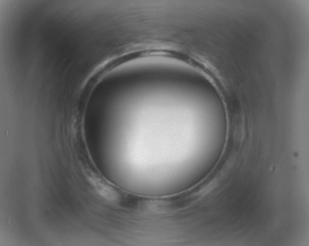 X0000083061163200702091456