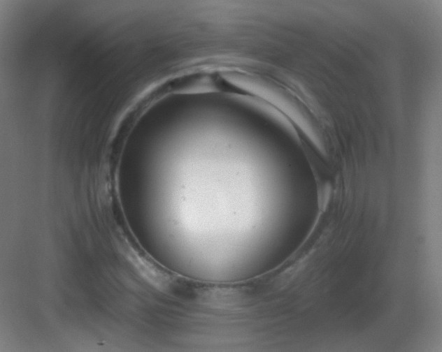 X0000083061164200702091456