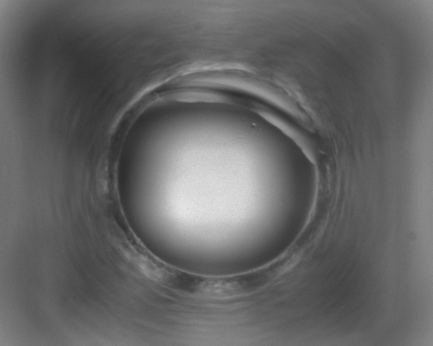 X0000083061165200702091456