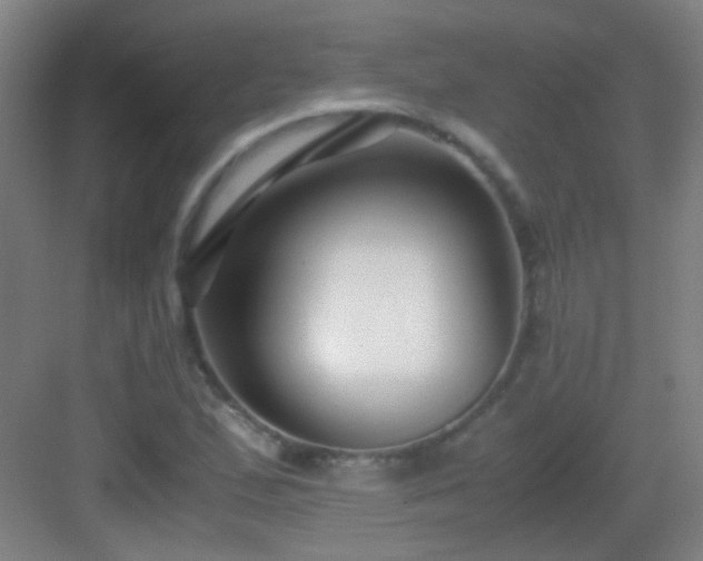 X0000083061167200702091456