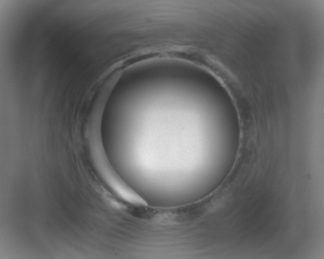 X0000083061169200702091456