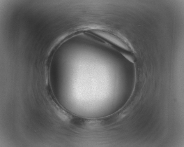 X0000083061171200702091456
